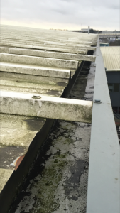 Commercial Gutter Cleaning