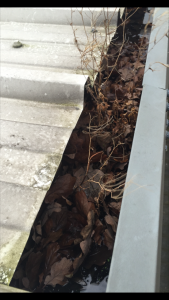 Gutter Cleaning Nottinghamshire